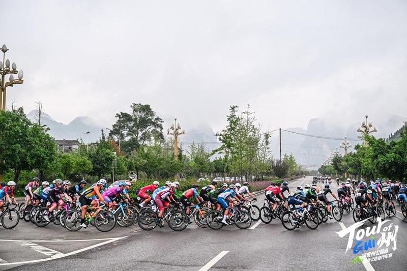 entit, div, 生态带 entit, div, 生态带