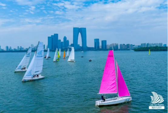 项公众可参, 板运动协会, 相门等历史